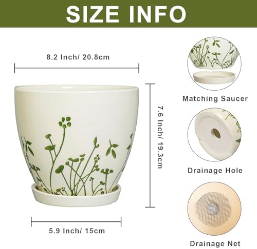 MPotTo Indoor Plant Pot 8.2 Inch - Ceramic Planter with Drainage Hole and Saucer, Boho Round Decorative Flower Pot for Indoor Outdoor Flowers, Plant Lover Gifts, Office Home Garden Patio Decor, White - Image 2