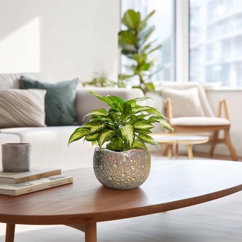 Ceramic Plant Pots - 6 Inch Plant Pot with Drainage Hole and Plug, Unique Planter for Indoor Plants Outdoor, Modern Planter, Round Orchid Pot, Room Decor, House Warming Gifts, Speckled-brown - Image 6