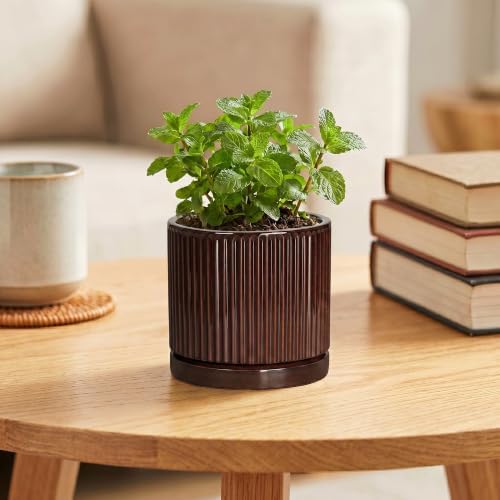 Succulent Pots 4 Inch, Ceramic Plant Pots, Round Planter, Brown - Image 4