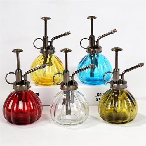 Spray Bottle for Plants, Plant Mister Spray Bottle, Glass Plant Mister Spray Bottle, Embossed Vintage Glass Watering Can, Succulent Watering Bottle with Top Pump for Outdoor (FF) - Image 7