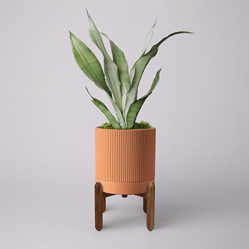 Large Terracotta Pots, 8 Inch Clay Planter Pots with Drainage Hole & Saucer (with Stand), Garden Planters for Indoor/Ourdoor Plants, Cactus & Snake Plant by Herduk