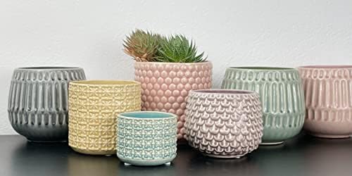 Nordring Stoneware Flower Pot – 6’’ Grey Planter with Polka Dots – Modern Ceramic Pot with Crackle Glaze – No Drainage Holes – Holds 5’’ Indoor Plant - Image 7