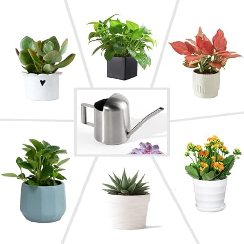 Mini Watering Can Stainless Steel Long Spout 10oz/300ml Small Watering Can for Indoor Desk Plants Outdoor Flowers Succulents Garden Watering Pot Gardening Tool（Sliver） - Image 4