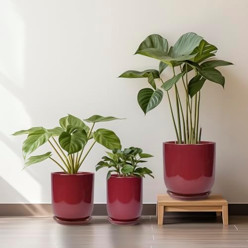 Ceramic Pots for Plants - 12 Inch Plant Pot Indoor with Drainage Hole and Saucer Large Planter Outdoor Flower Pot for Home Patio Office Decor Red - Image 6
