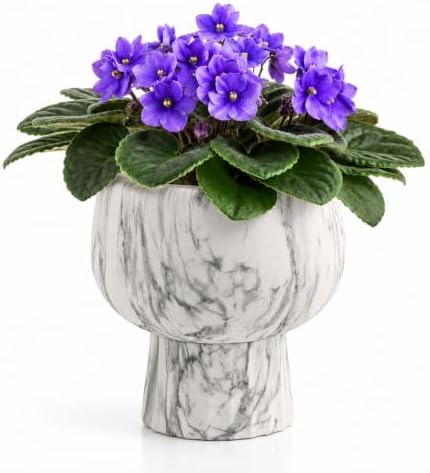 Self Watering Pots for Indoor Plants, 6 Inch Ceramic African Violet Pot by AvyraVelen