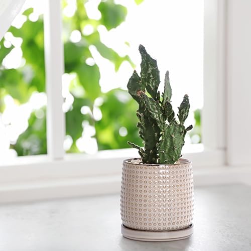 D'vine Dev Beaded Ceramic Planter Pots, 4/6 in, Light Brown, 27-D-U-4 - Image 6