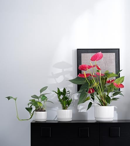 Ceramic Planters,Plant Pots with Saucers Set of 3(Reactive Glaze White) - Image 6