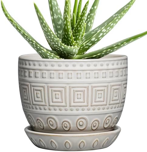 G EPGardening Ceramic Pots for Plants, 5 Inch Plant Pot, White by GEPGardening