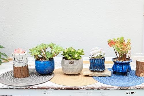 Ceramic Planter Pots w/Drainage, 3 Inch Set of 2, Indoor Outdoor Home Patio Garden Plants Flower Succulent, Crackle-Texture Square - Image 7