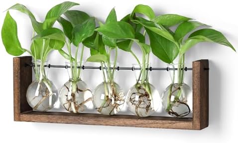 YIBOT Wall Hanging Glass Planter Plant Propagation Vase-5 Bulb Glass Vases by YIBOT