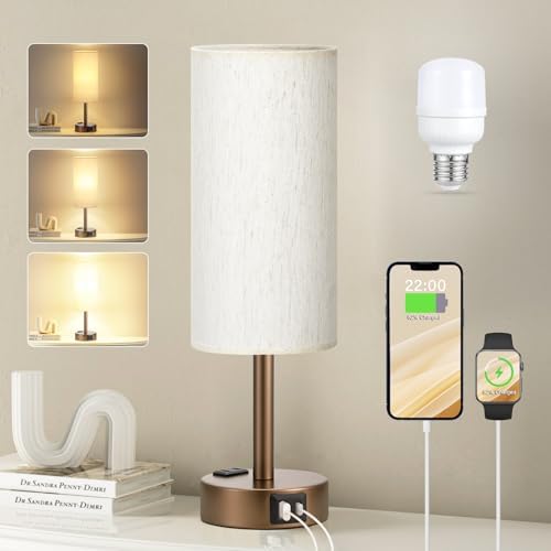 Fenmzee Brown Bedside Lamp for Bedroom, Dimmable Touch, USB A+C, AC Outlet by Fenmzeelighting