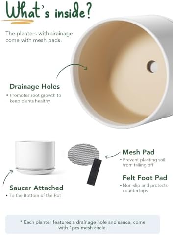LE TAUCI Ceramic Pots for Plants, 8 Inch Plant Pot with Drainage Hole & Saucer, Modern Minimalist Planters for Indoor Plants, Round Flower Pot for Snake Plant, Monstera, Perfect for Home Decor, White - Image 2