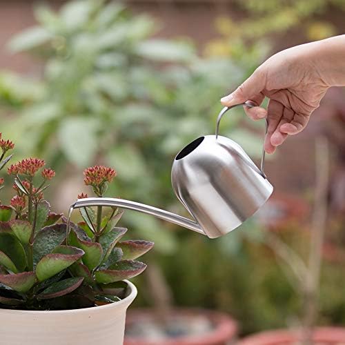 Watering Can for Indoor Plants, 450ml/15oz Stainless Steel - Image 2