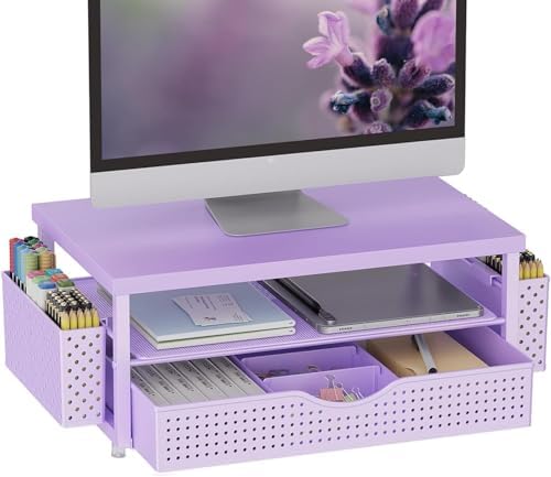 gianotter Desk Organizers and Accessories, Monitor Stand with Drawer and 2 Pen Holder, Desktop Organizer Suitable for Offices and Dormitories (Matte Purple) by gianotter