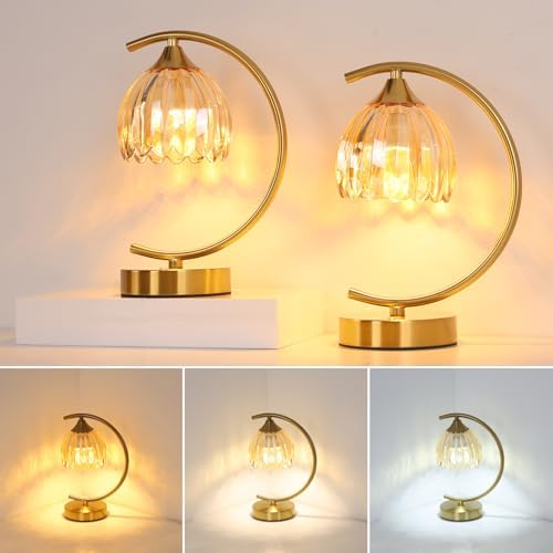 Shenmoyl Set of 2 Tulip Table Lamp, 5200mAh Cordless Touch Control Table Lamp with 3 Color Temps & Stepless Dimming, Rechargeable Battery Table Lamp for Living Room, Bedroom, Shelf (Amber Tulip) by Shenmoyl