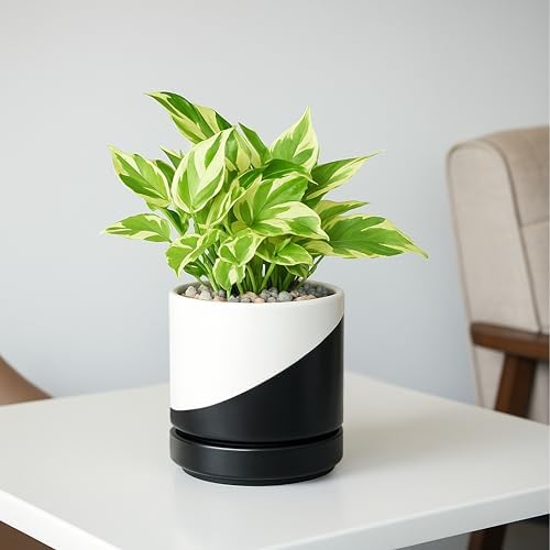 D'vine Dev 4.7 Inch Ceramic Planter Pot, Black White Diagonal, 94-O-B-K - Image 6