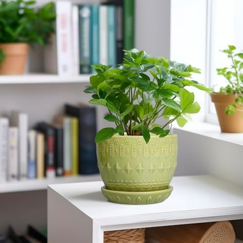 G EPGardening Ceramic Planter 5.5 Inch, Boho Plant Pot Indoor, Green - Image 2