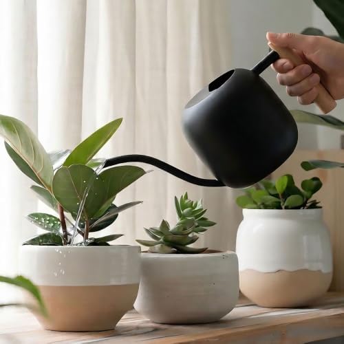 Watering Can 45 oz Long Spout Wooden Handle Stainless Steel - Image 4