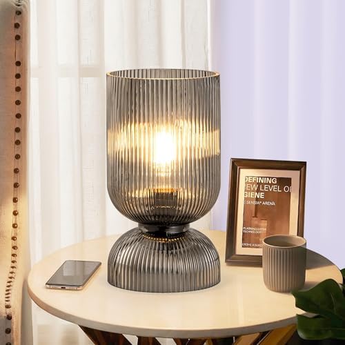 Modern Table Lamp,Glass Mid Century Lamp with Smoky Gray Glass Shade, Bedside Lamp with On/Off Switch, Minimalist Nightstand Lamp for Bedroom, Living Room, Office (Bulb not Included) by Unknown
