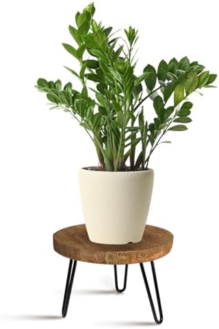 OBTAIN Plant Stand Indoor Outdoor Wood Mid Century Plant Stand for Indoor Plants, Modern Plant Table Round Plant Stool, Boho Rustic Wooden Stool for Plant Pot Hol (L) by Welcometoobtain