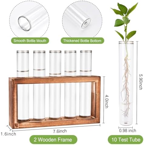 Tigvio 2pcs Desktop Glass Plant Propagation Station (10 Tubes) - Image 2