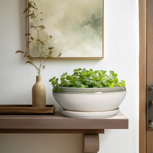 SQOWL Bonsai Pots Ceramic - 10 Inch Succulent Planters for Indoor Plants Outdoor, Shallow Round Planter with Drainage Hole and Saucer, Ceramic Planter Bowl, Office Decor, Gifts for Women, Gray-Beige - Image 6