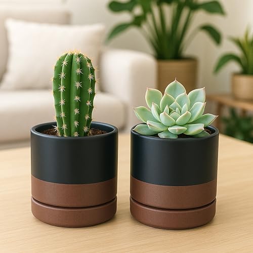 D'vine Dev 2-Pack Ceramic Pots with Saucers, Black/Tan, 4.7 in, 94-V-B-7 - Image 2