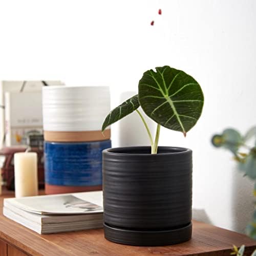 HERDUK 6 Inch Plant Pots, Ceramic Planter Pot with Drainage Hole & Saucer, Indoor/Outdoor Cylinder Round Planter Pot, Matte Black - Image 6