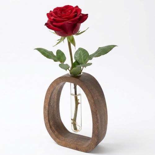 Solid Wood Frame Glass Test Tube Vase Desk Hydroponic Plant,Modern Decorative Hydrophilic Plants Vases,Mini Propagation Station for Hydroponic Plants,Desktop Home Office Decor by Unknown
