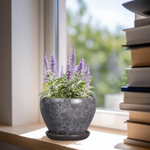 Ceramicfor Ceramic Planter - 6 Inch Plant Pot with Drainage Hole and Saucer, Succulent Pot Glaze Round Flower Pot for Indoor Outdoor Plants, Gray - Image 2