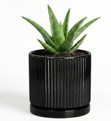 Ceramic Plant Pots, 4 Inch Pots for Plants, Round Flower Pot, Black by Unknown