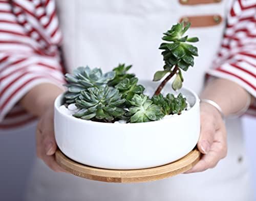 LANKER 6.3 Inch Round White Ceramic Succulent Planter Pot with Bamboo Tray - Image 4