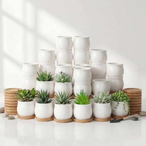 SHECIPIN 24 Pcs 2.5 Inch Small Succulent Pots with Drainage & Bamboo Trays - Assorted Small Succulent Planters Bulk for Home Office Garden Decor by SHECIPIN