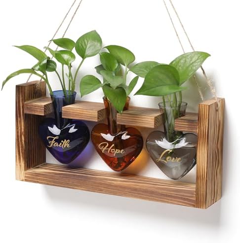 Plant Terrarium Propagation Stations Hydroponics by MTsigns