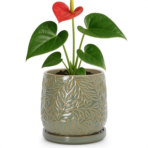 D'vine Dev Embossed Leaves Ceramic Planter, 5 in, Olive, 27-A-V-0 by DvineDevPlanterPotsandStand