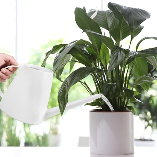 Plastic Watering Can - for Indoor and Outdoor House Plant Garden - with Long Spout - 1/2 Gallon - White - Image 7