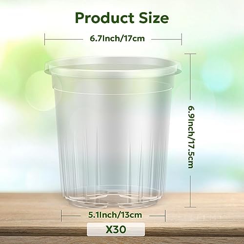 Bluepro Clear Nursery Pots with Drainage Holes, 7 Inch, 1 Gallon, 30-Pack - Image 2