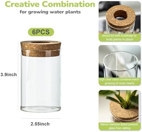 Glass Plant Propagation Station Set of 6, Modern Desktop Flower Vase for Succulent Cuttings, Home Office Decoration, Ideal Housewarming Gift for Living Room, Bedroom - Image 2