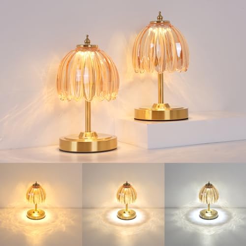 Shenmoyl Set of 2 Tulip Table Lamp with 5200mAh Battery & Touch Control, Cordless Small Table Lamp with 3 Colors, Rechargeable Battery Operated Table Lamps for Nightstand, Bedroom (Amber Tulip) by Shenmoyl