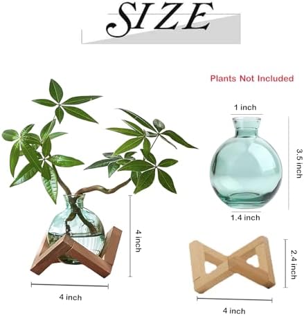 Cute Plant Propagation Station Glass Bulb Water Vases Green Office Decor - Image 4