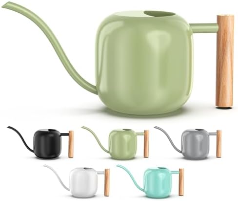 Green Moon 1.2L/41oz Metal Metal Watering Can with Long Spout, Sage Green by GreenMoon