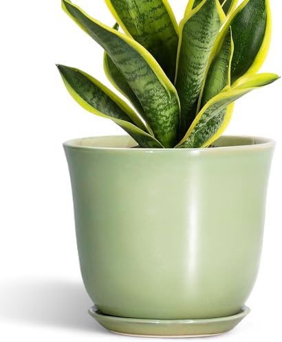 Ceramic Flower Pots - 8 Inch Plant Pot Drainage Hole and Saucer, Round Plant Pot with for Indoor Outdoor, Modern Planter, Decorative Planter, Home Porch Room Decor, Housewarming Gift, Green by SUNPOTFOR