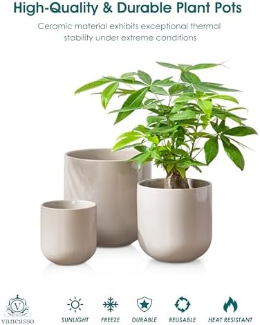 vancasso 6+8+10 inches Ceramic Plant Pots, Set of 3, Planters with Drainage Hole, Flower Pots Planters Pots for Indoor Plants, Modern Indoor Decorative Garden Pot, Home Decor, Gray - Image 4