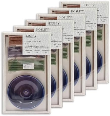 Hosley Incense Gift Set 6-Pack - Includes 60 Incense Sticks & Ceramic Holder - Ideal Bathroom Set for Meditation, Spa, or Relaxing Atmosphere by HOSLEY