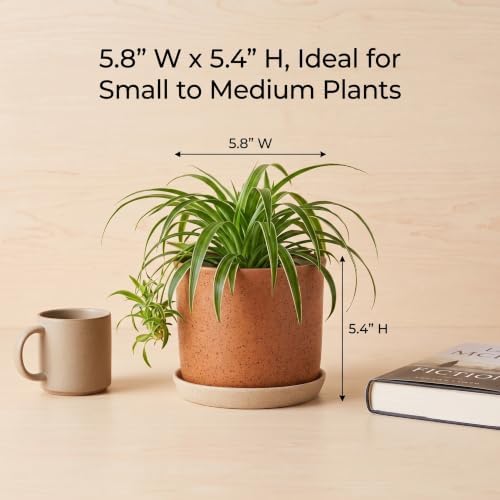5.8 Inch Ceramic Plant Pot with Drainage Hole & Separate Saucer - Image 3