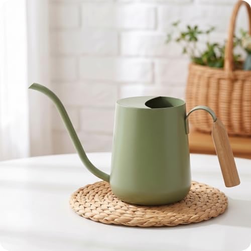 Baffect Watering Can Indoor Plants with Long Spout, 1L / 35oz (Sage Green) by Baffect