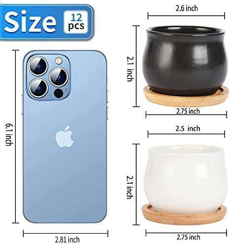 SHECIPIN 12 Pack Succulent Plant Pot, Mini 2.6 inch Ceramic Flower Planter Pot with Bamboo Tray, Small Pots for Plants, Plants Not Included （White, Black） - Image 3