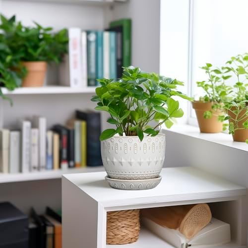G EPGardening Ceramic Plant Pot - Succulent Pots with Drainage Hole and Saucer 5 Inch Planter for Indoor Plants Outdoor Decorative Round Flower Pot White - Image 2