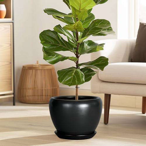 Ceramicfor Ceramic Planter Pot - 8 Inch Plant Pot with Drainage Hole and Saucer Round Planter for Indoor Plants Modern Outdoor Flower Pot for House Balcony Black - Image 5