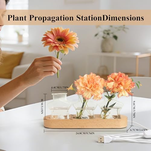 XXXFLOWER Plant Propagation Station with LED Light Wooden Base 3 Star Vases - Image 2